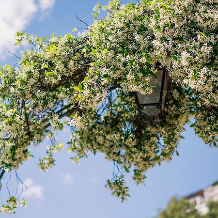 Villa Sant'Alfonso Scala Ngoại thất bức ảnh